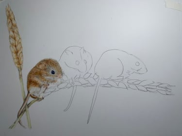 Mice