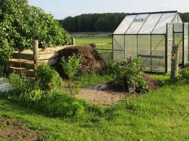 Culture de légumes sous serre 