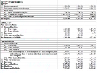 liabilities balance sheet_ola electric business analysis