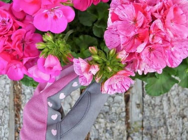 Entretien des fleurs