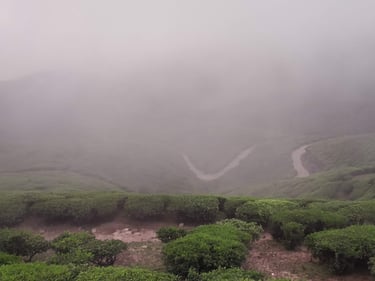 kolukkumalai-trek