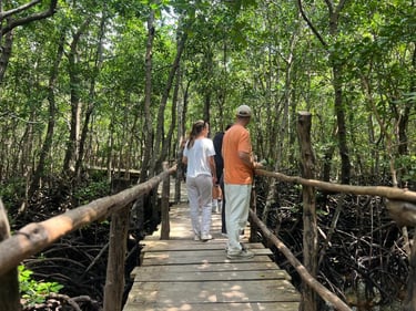 Group of tourists observing red colobus and Sykes monkeys in Jozani Forest Zanzibar