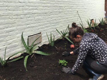 siembra y mantenimiento de jardines