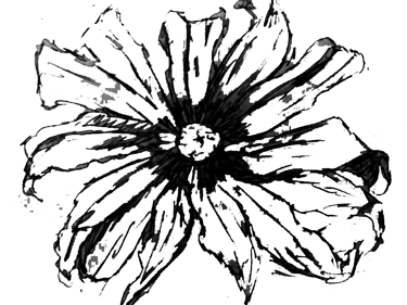 Ilustração de uma flor com doze pétalas alongadas e finas com um miolo no meio.