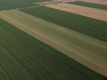 Aerial perspective of irrigated agricultural parcels in Turkey, geometric field boundaries visible, midday light, no people