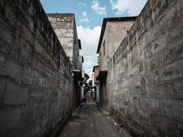 Wide-angle view down a narrow gap between two old concrete walls in a dense Salvador neighborhood, cool daylight from above, no people