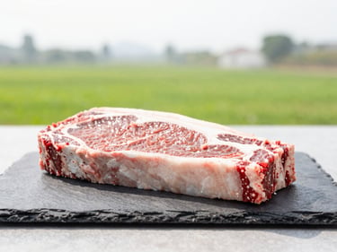 Raw beef cuts styled minimally on a dark slate block, bright natural overcast daylight, shallow depth of field