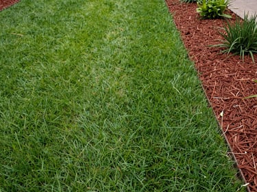 Overhead view of a freshly maintained Darwin yard showing consistent grass height and clean mulch lines along a garden bed, red soil border, soft natural light