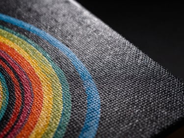 Extreme close-up of a canvas print surface under studio strobe light, woven texture visible at the weave level, deep blacks and saturated mid-tones, dark background