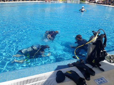 Descubre buceo