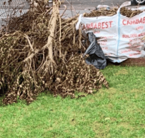 Garden clearance removing overgrowth and waste