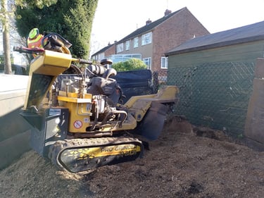 Stump grinding to below ground level