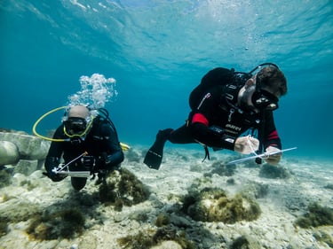 rescue divers plotting a search and rescue path