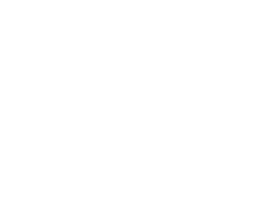 deux palmiers 
