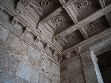 Tight architectural detail of a historic stone building interior, ornate carved ceiling with precise overhead lighting, no people, cool neutral tones, framing emphasizes irreplaceable aged material