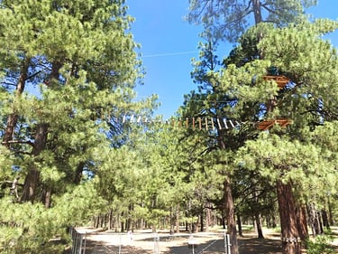 Fort Tuthill County Park in Flagstaff - try horseback riding or the extreme adventure course