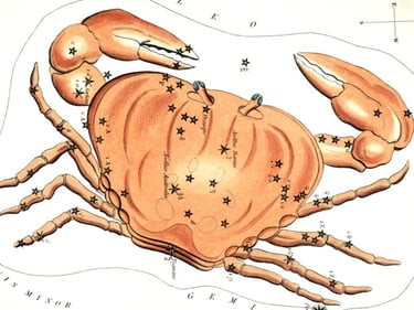 Cancer constellation 