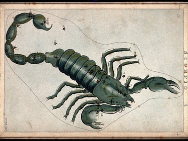 Scorpio Constellation 