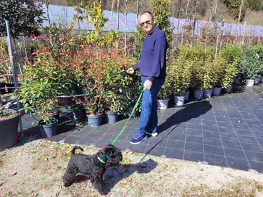 Eleveur des Diamants Noirs d'Also