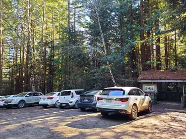 redwood national park, tall trees trail; a group of cars parked in a parking lot