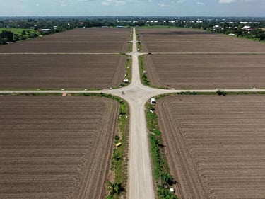 Wide shot of a Mersing inland agricultural land parcel at midday, unpaved access road cutting through cleared terrain, no people, documentary aerial framing showing development potential