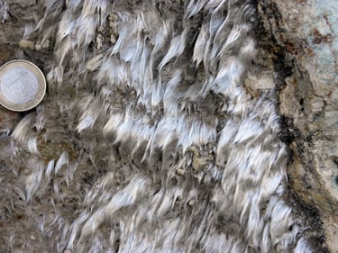 Veine d'actinolite-amiante. ©C.Coutin, Rutali, Haute-Corse