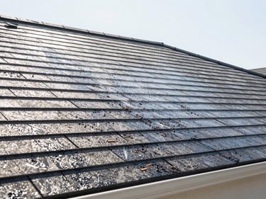 Clean residential roof, soft-wash preservation, no visible organic growth, crisp daylight, professional editorial style.
