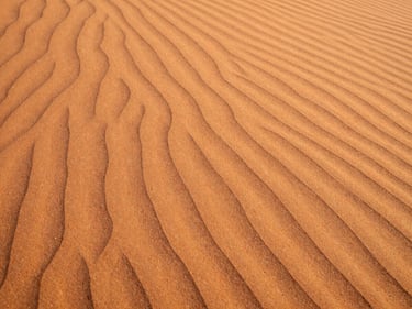 Fine textured orange dune sand, soft desert sunset lighting, clean ripples