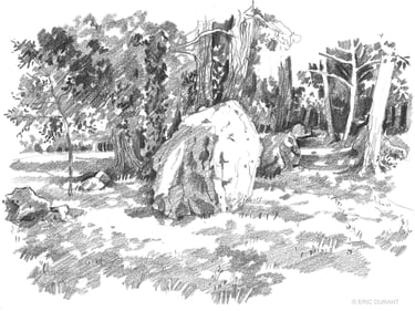 Dessin mine de plomb sur papier A4 - © Eric Durant
