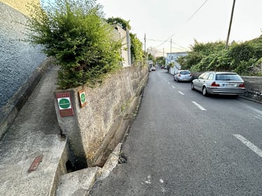 Cars parked on a residential street by Bamboo Star House