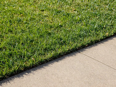 Meticulously edged lawn border against a concrete path, zero-debris finish, sharp focus, bright morning sunlight, crisp shadows, 35mm