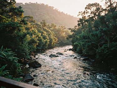 Misty morning view of a flowing river from a veranda, forested hills, golden light, warm editorial photography, 35mm film.
