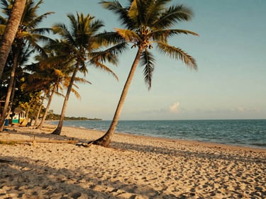 A serene white sand beach in Joao Pessoa at sunrise, tall coconut trees casting long shadows, warm turquoise water, cinematic composition, 35mm lens