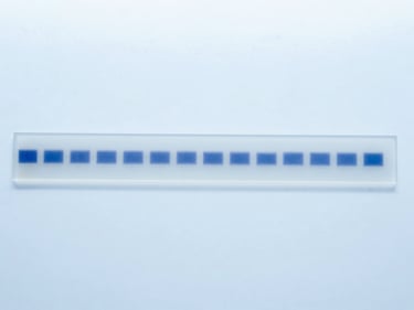 Western blot gel with protein bands, under laboratory lighting, clean clinical photography, bright high-key laboratory lighting, sterile white and light-blue tones, macro depth of field, 50mm.