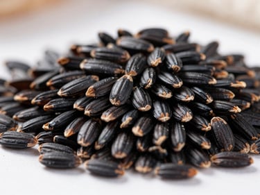 Macro close-up of raw black rice grains, deep obsidian color, high contrast, sharp focus, industrial documentary style.