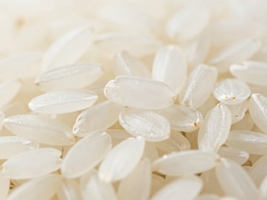 Macro close-up of Sona Masoori raw rice grains, pristine white, uniform length, bright warehouse lighting, sharp focus.