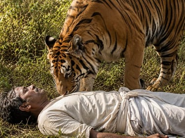 Man eater tigress of Champawat