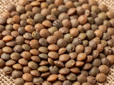 Extreme close-up overhead flat-lay of raw dried legumes — lentils or fava beans — arranged on rough burlap, showing grain texture and earthy brown tones, studio strobe for product detail, no background distractions