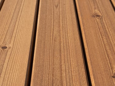 Freshly stained cedar deck boards under warm late-afternoon light, tight shot showing the grain texture and even penetration of the stain along three boards