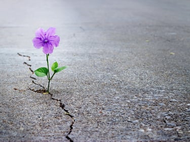Getting through the cracks