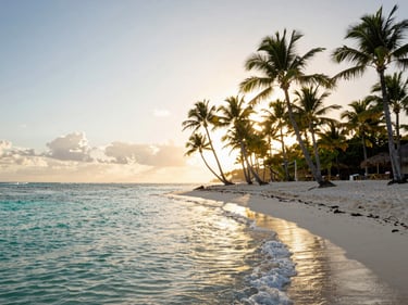 Punta Cana beach at golden hour, tall palm trees leaning over white sand to the right, turquoise Caribbean water in the foreground, warm low sun behind the palms
