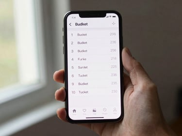 Android phone screen showing a simple budget tracker interface with plain numbers, phone held loosely in one hand, daylight from a side window, no studio props