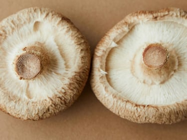 shiitake fresci cuneo alba