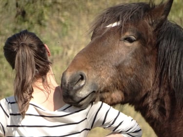 Cheval posant sa tête sur l'épaule d'une jeune fille de dos