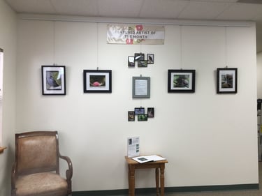 Bandera Library Show