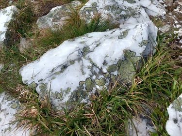 Balto kvarco gabalas, Nordkapp, Norvegija