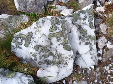 Balto kvarco gabalas Norvegijos šiaurėje