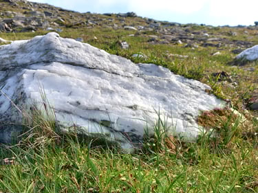 Baltas kvarcas Norvegijos šiaurėje