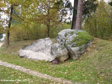 Nikronių akmuo su ženklais