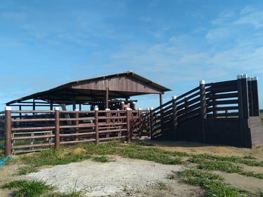 Curral de eucalipto tratado - mão de obra imader